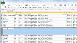 Cómo insertar columnas y filas en Excel [upl. by Noislla62]