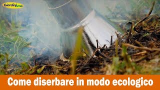 Come diserbare in modo ecologico con il diserbante termico elettrico Stocker [upl. by Ahseinek634]