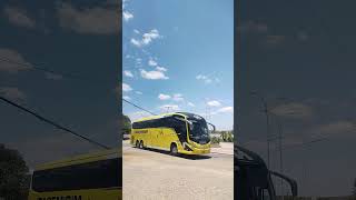 Nova Itapemirim de campina grande para são Paulo chegando no terminal rodoviário de Sertânia pe [upl. by Cornelie]