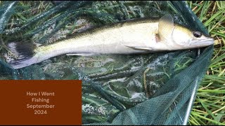 How I Went Fishing September 2024 New PB Zander [upl. by Prem594]