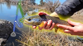 How to Catch Trout with a Drop Shot  Palomar vs Dropper Loop  Knot SHOWDOWN [upl. by Korwin]