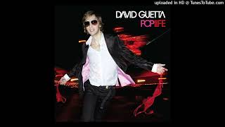 David Guetta  Love Is Gone Fred Riester amp Joachim Garraud Radio Edit Rmx Instrumental With BVs v2 [upl. by Dalohcin939]