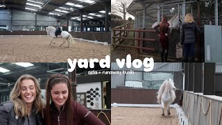 YARD VLOG runaway buski edition [upl. by Durham280]