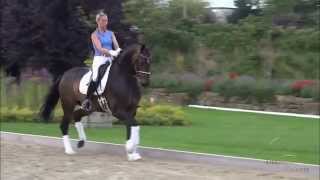 wwwdressagetalentscom  Sparkling Champaign [upl. by Anson149]