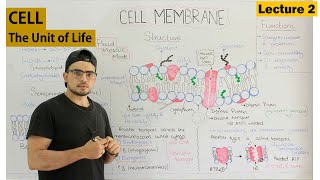 Cell membrane Fluid mosaic model [upl. by Pat595]