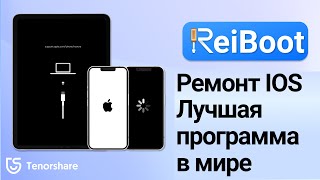 Tenorshare reiboot скачатьИнструмент для восстановления системы iOS скачать бесплатно на русском [upl. by Ridan]