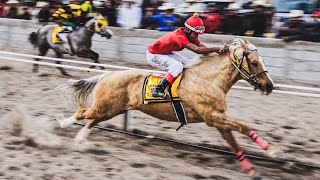 Caballo Dorado  El Lamberto Vs El Agrónomo San Antonio De La Cruz Durango Mex [upl. by Evie552]