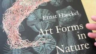 Art and Science 01  I would like to hear you Ernst Haeckel asmr [upl. by Haimarej]