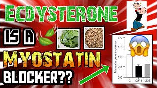 ECDYSTERONE BLOCKS MYOSTATIN  40 DROP IN MYOSTATIN SIMILAR TO IGF1 🧬🐂💉MYOSTATIN MONDAY🧬🐂💉 [upl. by Auqinal899]