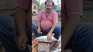 Tuna fish cutting in vizag fishing Harbour 🦈 shorts fish [upl. by Clare588]