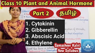 Cytokinin Gibberellin Abscisic Acid and Ethylene Class10Science Unit 10 Plant and Animal Hormone [upl. by Greerson]