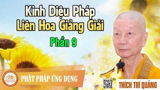 Kinh Diệu Pháp Liên Hoa Giảng Giải phần 9  Thầy Thích Trí Quảng giảng pháp [upl. by Iglesias]