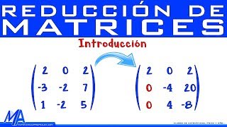 Reducción de matrices  Introducción  Gauss y Gauss Jordan [upl. by Chamberlain545]