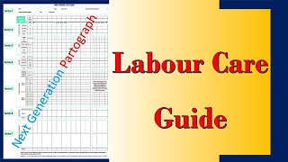 WHO Labour Care Guide  What is the Differences Between Partogram and Labour Care Guide [upl. by Assiralk]