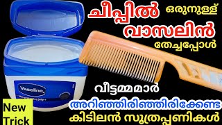 ഒരു തുള്ളി വാസലിൻ ചീപ്പിൽ തടവിയപ്പോൾ കിടിലൻ സൂത്രംവീട്ടമ്മമാർ മിസ്സ്‌ ആക്കല്ലേVaseline Tips [upl. by Candie]