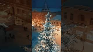 Christmas In Košice Slovakia  Kosice Slovakia 4K  Slovakia Walking  shorts [upl. by Granny]