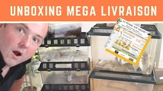 UNBOXING de la commande à LA FERME AUX COLEOS [upl. by Yelnek]