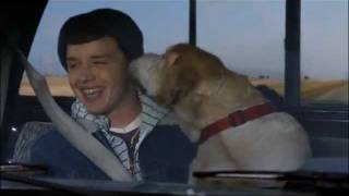 Hallmark Channel  A Dog Named Christmas  Premiere Promo [upl. by Corabel]