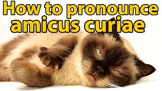 How to pronounce amicus curiae and what an amicus brief is [upl. by Ardnued]