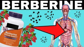 Take Berberine Every Day And See What Happens  Effects amp Benefits  Better Than Metformin [upl. by Inafit]