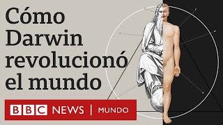 Evolución vs Dios por qué la teoría de Darwin fue revolucionaria  BBC Mundo [upl. by Gusti]