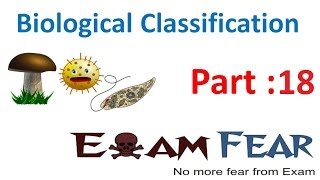 Biology Biological Classification part 18 Fungi typesbasidiomycetes Deuteromyctes CBSE class 11 [upl. by Mmada]