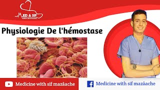 2 Physiologie de LHémostase  Physiologie 2ème MED [upl. by Inafets818]