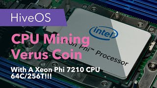 CPU Mining Verus Coin  With A Xeon PHI 7210 CPU 64 Core  256 Threads [upl. by Naejamron]