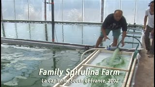 Family Spirulina Algae Farm in France • 2002 [upl. by Analart]