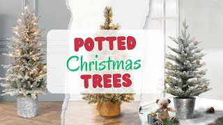 Best Potted Artificial Christmas Trees In 2023 The 5 Best Ones [upl. by Aronek498]