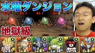 【パズドラ】水曜ダンジョン 地獄級に孫悟空パで挑む！ [upl. by Sorac]