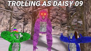 TROLLING AS DAISY09Gorilla Tag VR [upl. by Dadirac358]