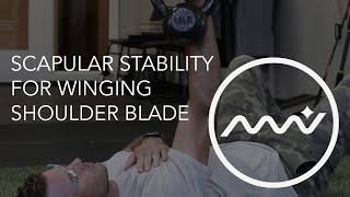 Scapular Stability  Fix Your Winging Shoulder Blade [upl. by Sperry]