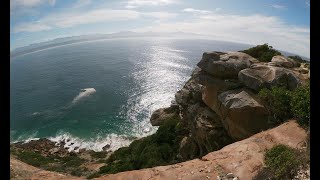 Cliffs Caves Seals and more [upl. by Jahdal]