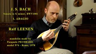 BACH  Sonata in g minor BWV1001  ADAGIO  Ralf LEENEN [upl. by Nollid]