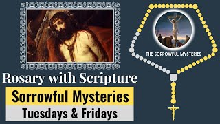 Rosary with Scripture  Sorrowful Mysteries Tuesdays amp Fridays Scriptural Rosary  Virtual Rosary [upl. by Walke713]