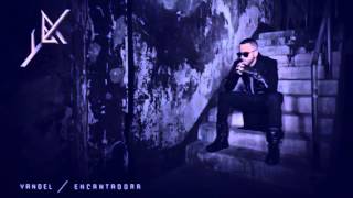 Yandel Encantadora Dangerous 2015 [upl. by Grier]