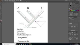 BIOL 4330 Unit 2 7 2 Paralogy and Gene Loss [upl. by Bigner]