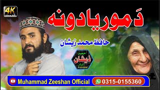 Pushtoo HD 2021 Nazam  د مور یادونہ  Hafiz Muhammad Zeeshan Hanafi [upl. by Nocaed]