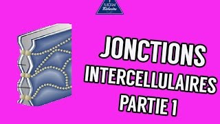 03  Les Jonctions intercellulaires Partie 1 [upl. by Francyne]