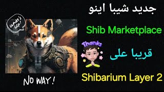 🔥🚀 شيبا اينو  إطلاق Shib Marketplace على شيباريوم L2جديد المشروع  أهدافه تأثيره على السعرshib [upl. by Jimmy]