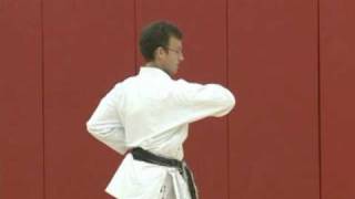 Karate Elbow Strikes [upl. by Ehsiom]