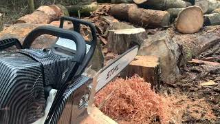 FARMERTEC HOLZFFORMA G660 PRO STIHL MS660 [upl. by Remington64]