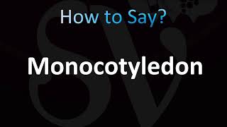 How to Pronounce Monocotyledon CORRECTLY [upl. by Phylys56]