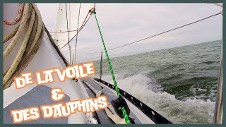 VOILIER De la VOILE amp Des DAUPHINS 🐬🐬🐬 [upl. by Anayk]