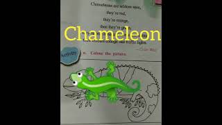 Chameleon Poem of class 2 of English Balbharti [upl. by Reinnej]