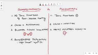 Glomerulonephritis vs Pyelonephritis 🫘  Learn Nephrology [upl. by Ellebasi3]