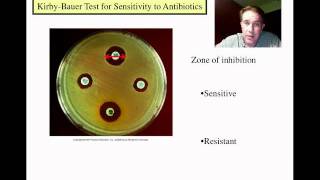 Control of Microbial Growth Part 2 [upl. by Dich]