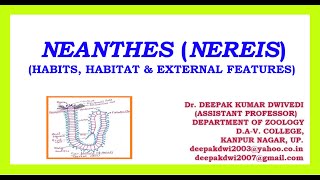 NEANTHES NEREIS  HABITS HABITAT amp EXTERNAL FEATURES [upl. by Nodnart]