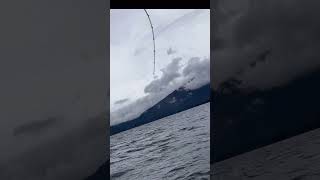 Lake Tahoe Kokanee Salmon Fishing [upl. by Ardni]